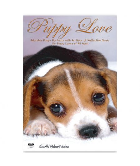 PUPPY LOVE DVD