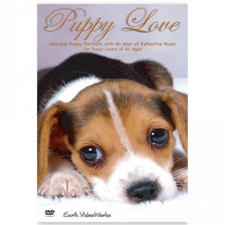 PUPPY LOVE DVD